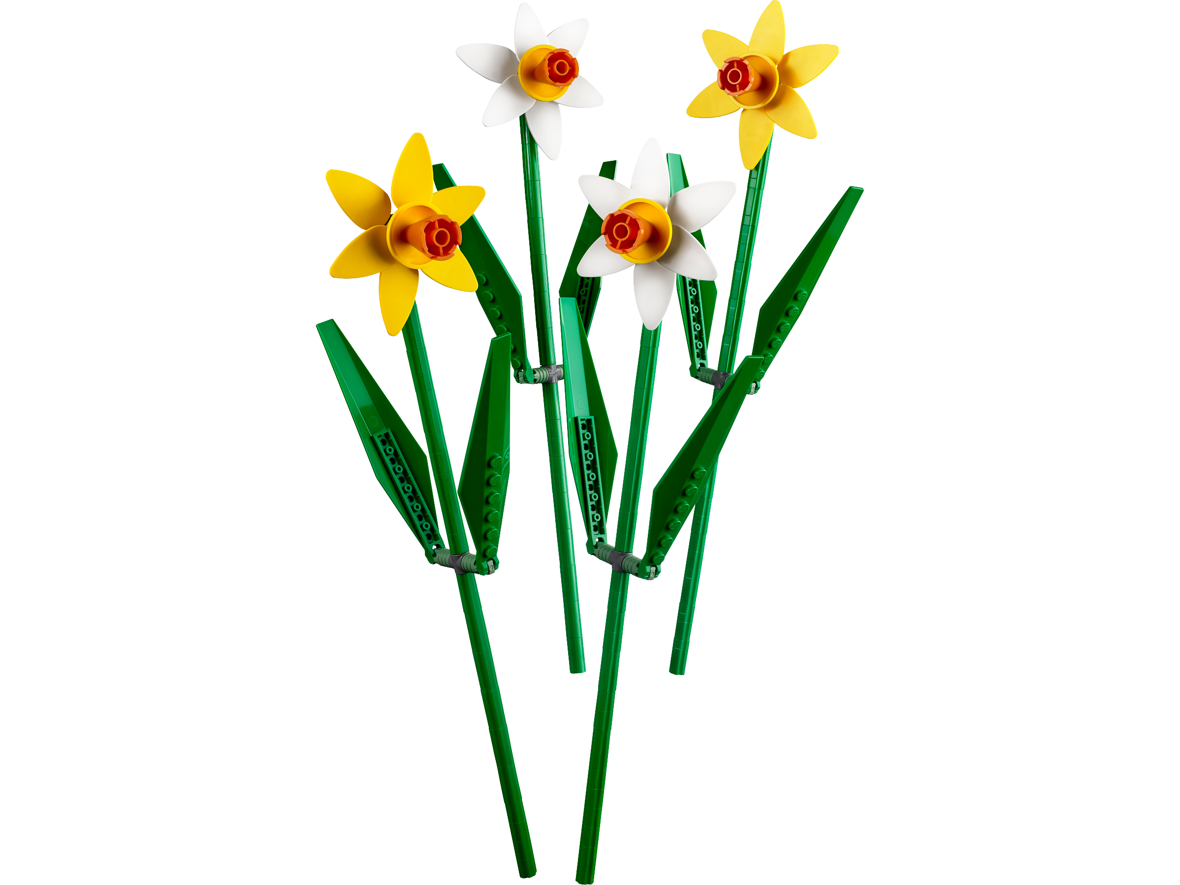Żonkile