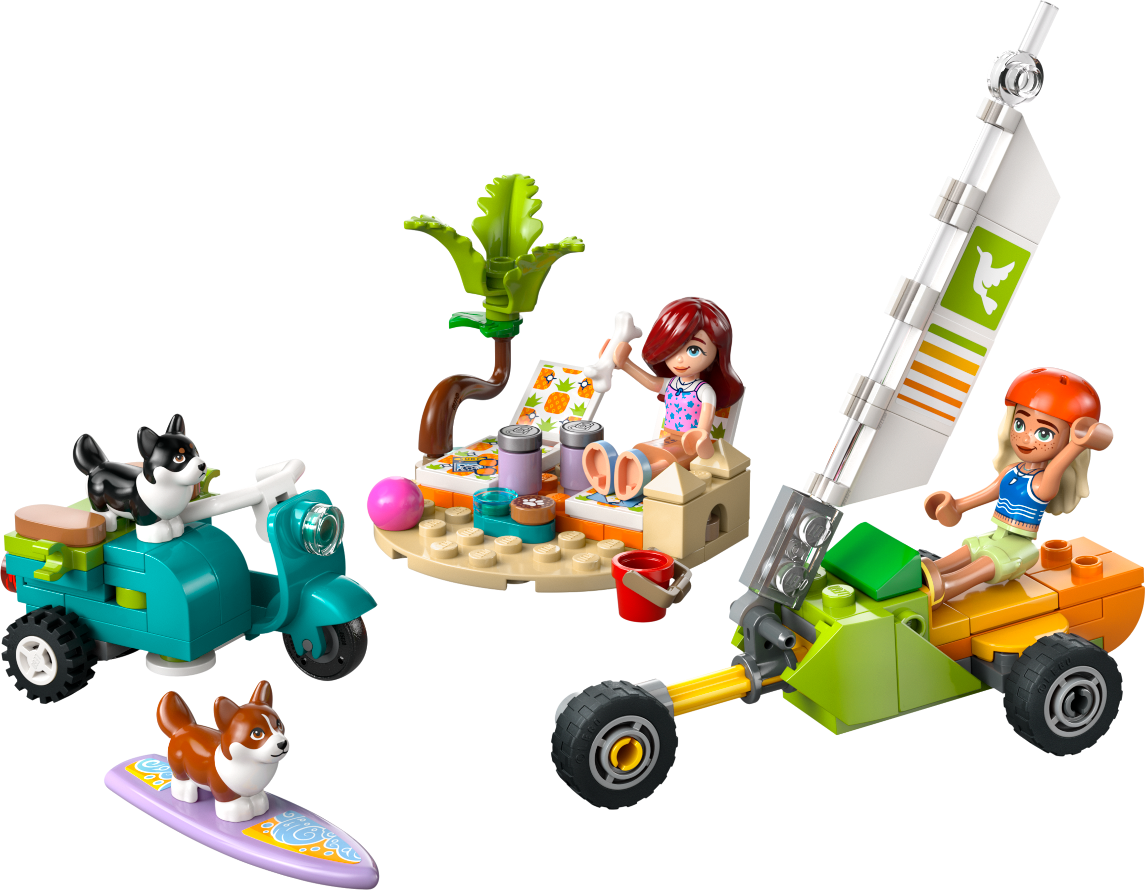 Surfing Dogs and Scooter Adventure