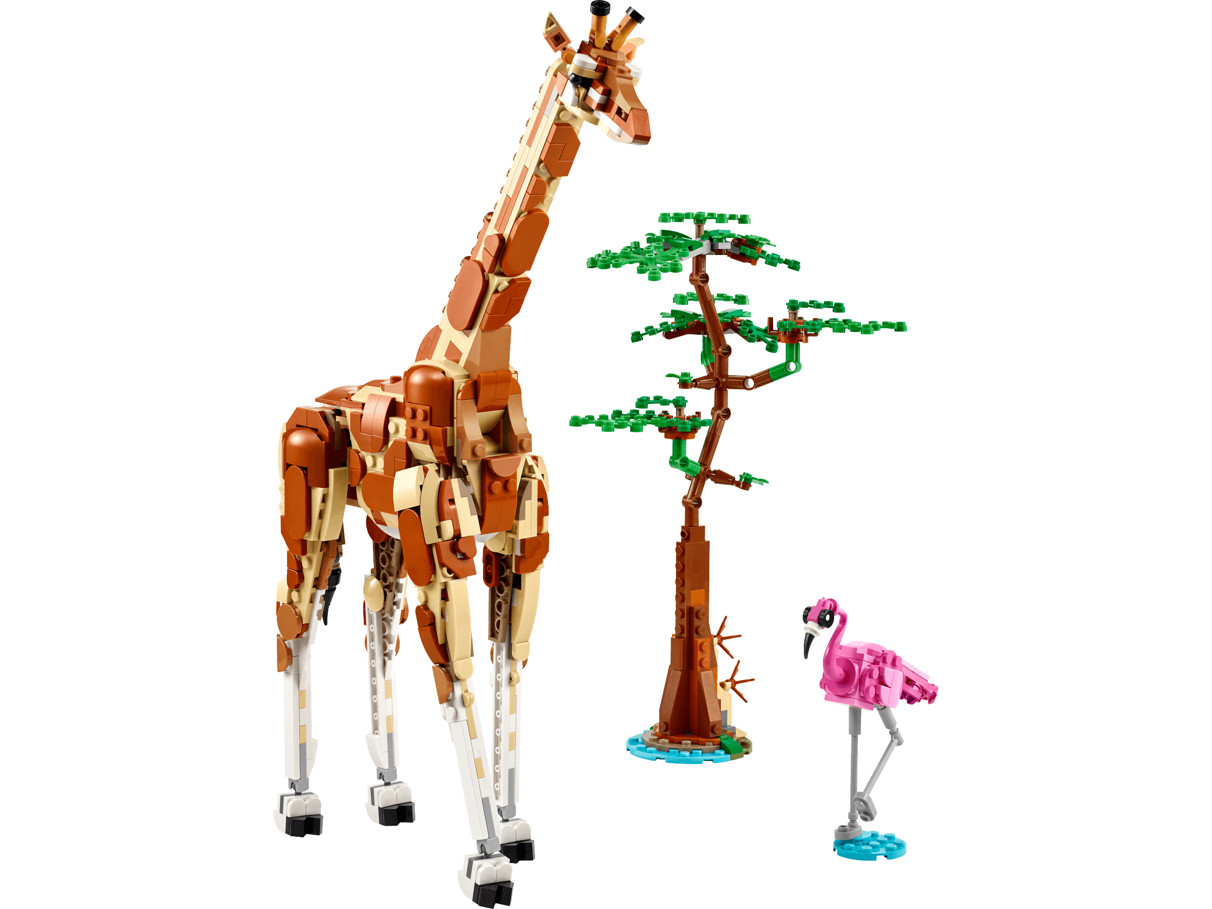 Dzikie zwierzęta z safari