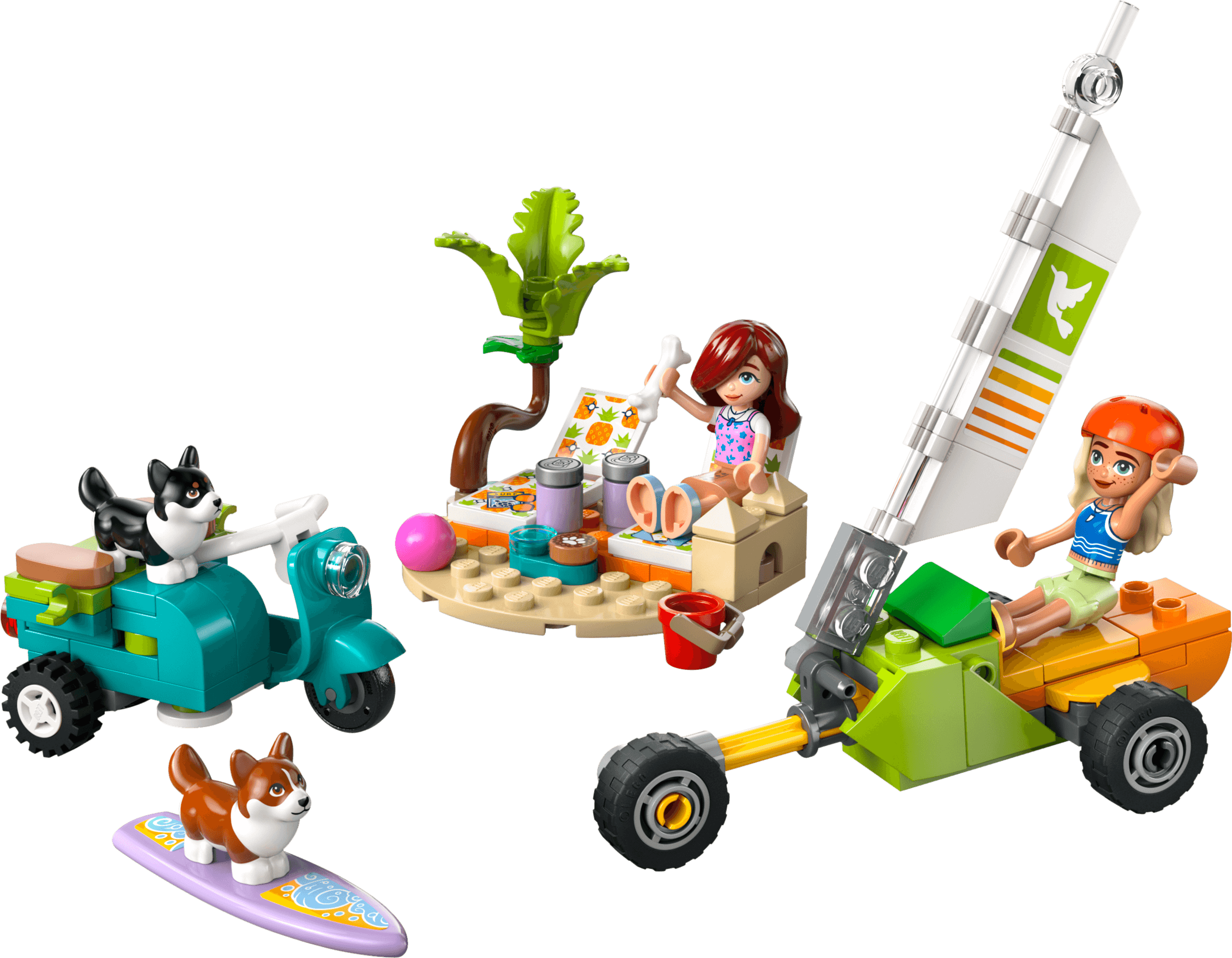 Surfing Dogs and Scooter Adventure